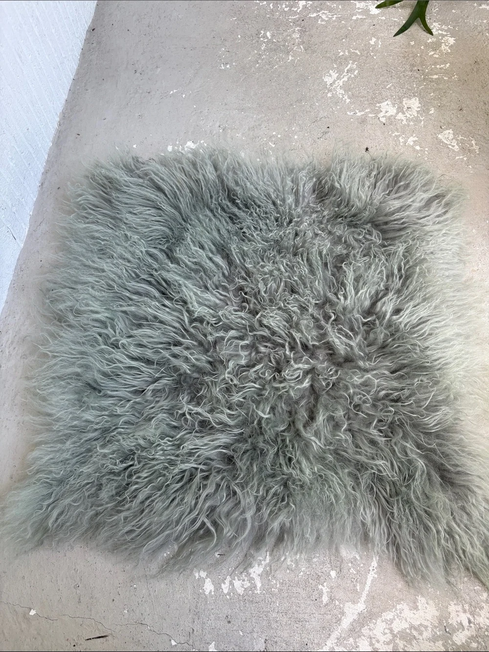 West elm Lamb fur pillow